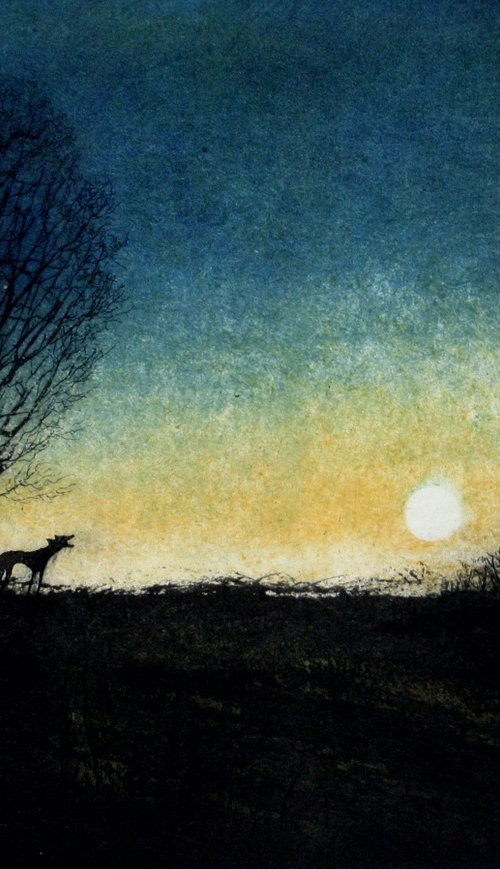 A Bark in the Night by Tim Southall