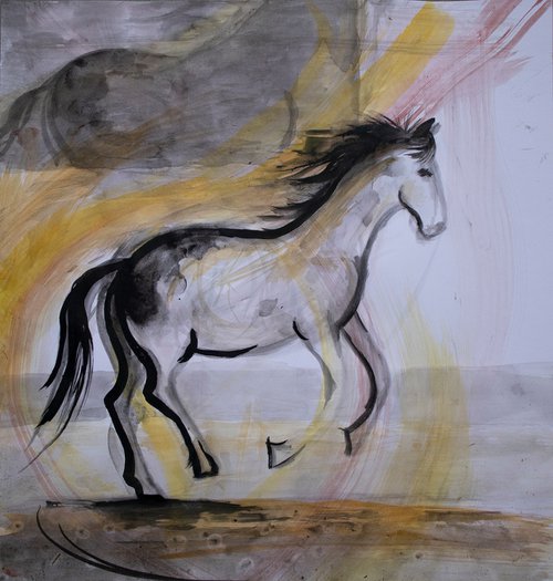 Horse gallop flow by René Goorman