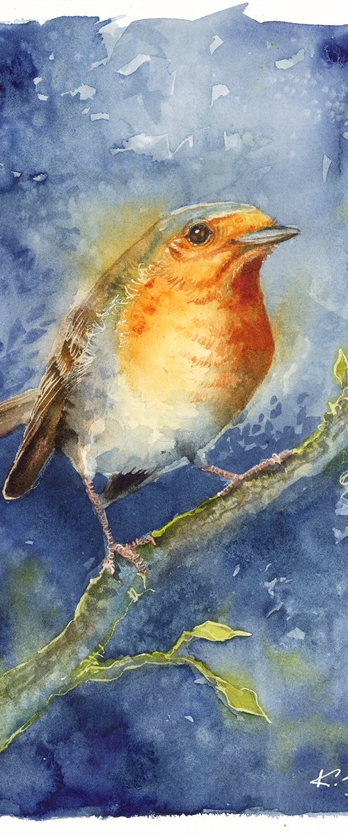 Robin, wildlife, birds watercolours by Karolina Kijak