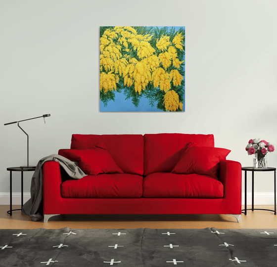 Mimosas in Bloom