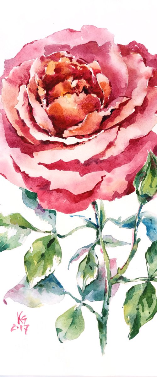 Red rose original watercolor artwork by Ksenia Selianko