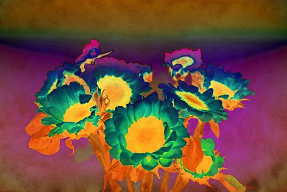 Polarised Sun flora