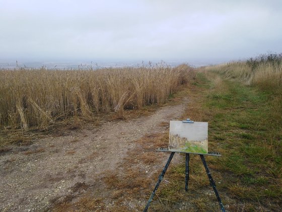 Misty Wolds Way