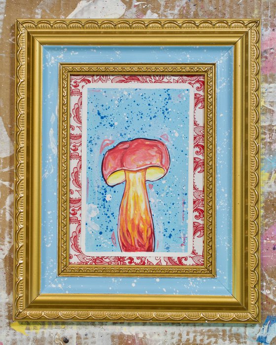 Two coloured bolete