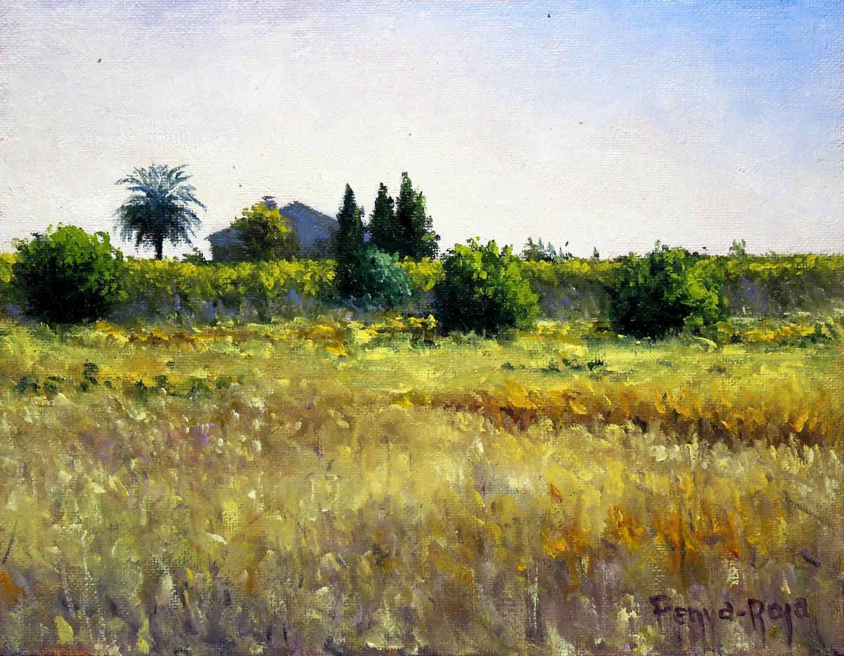 Valencian Mediterranean by Vicent Penya-Roja
