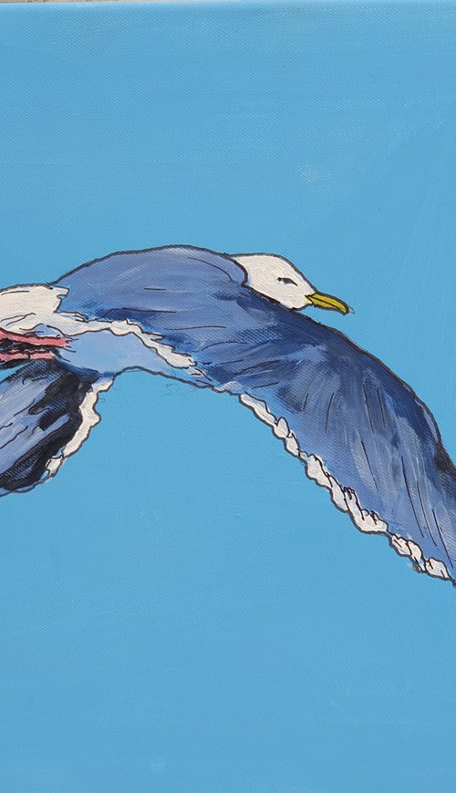 Seagull #3 by Colin Ross Jack