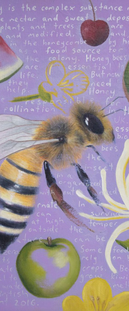 Honey Bee - Apis Mellifera by Damien Venditti