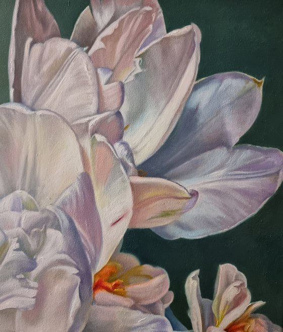 "And again the dance of silk petals."  tulip flower 2022