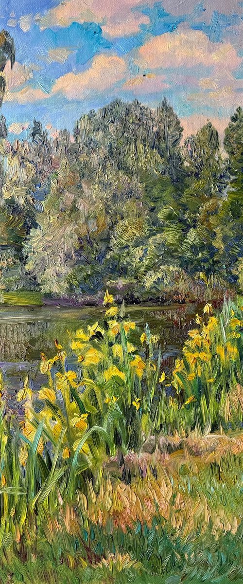 Where the Irises Bloom by Aleksandr Dubrovskyy