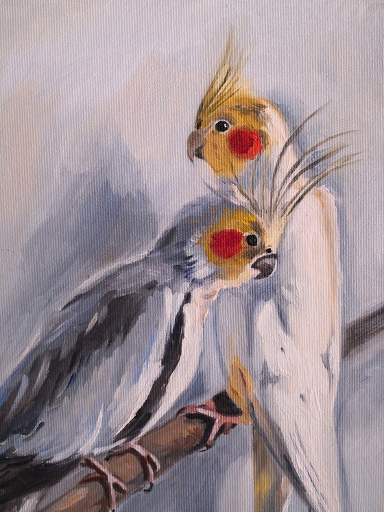 Sweet couple of corella cockatiel parrots Painting