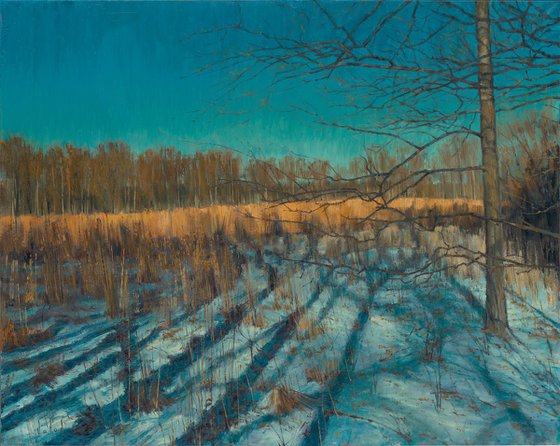 Blue Shadows