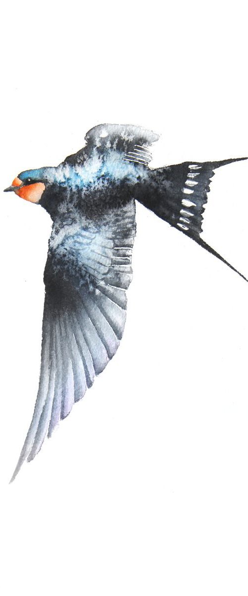 Flying swallow III, wildlife, birds and nature watercolour by Karolina Kijak