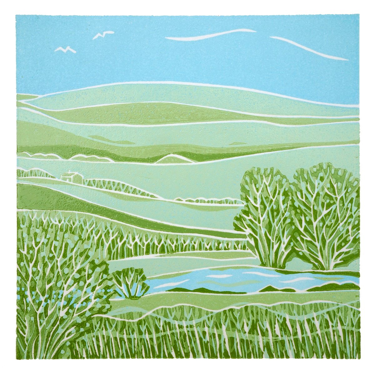 South Downs II by Rosemary Jones