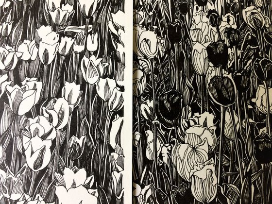 TULIP FEVER II Ink Drawings Series