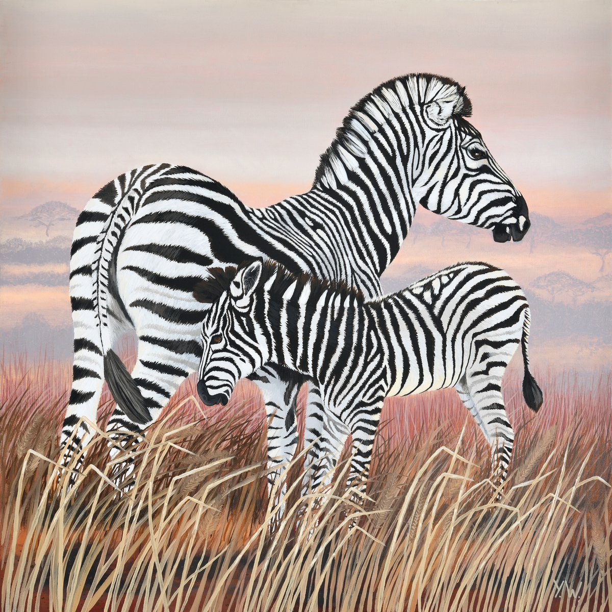 Zebra and Colt by Yvonne B Webb