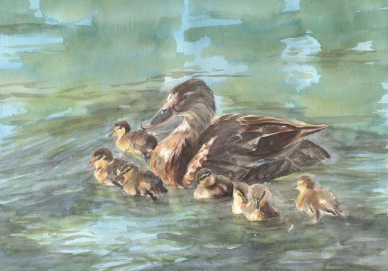 Ducklings Day Out