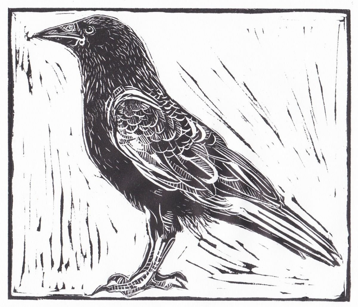 Crow by Georgia Flowers