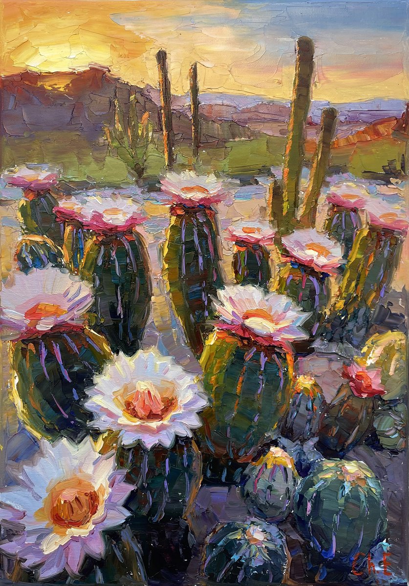 White Cactus By Evgeny Chernyakovsky, 14 X 20, Artwork For Sale On Artfinder