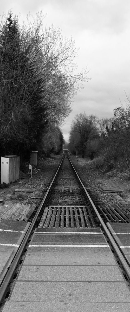 Railroad, 18x18 Inches, C-Type, Unframed by Amadeus Long