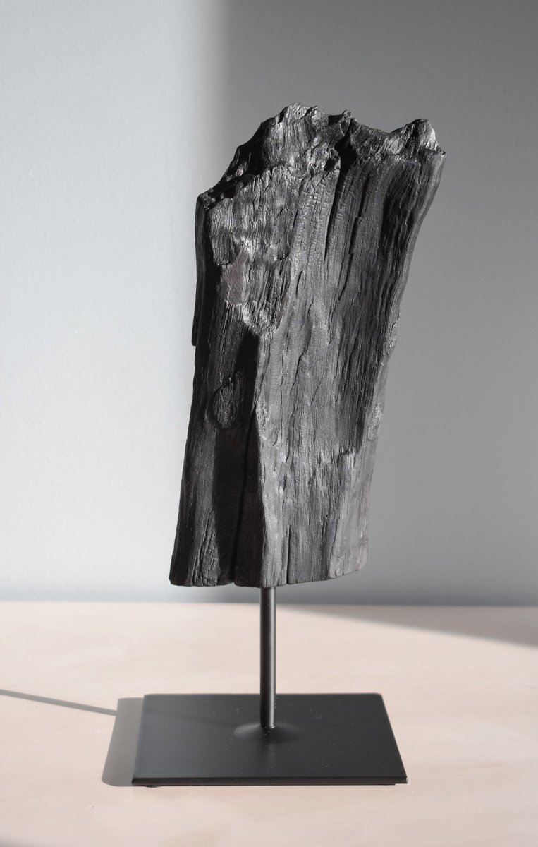 Untitled #1014 Burnt Wood Sculpture