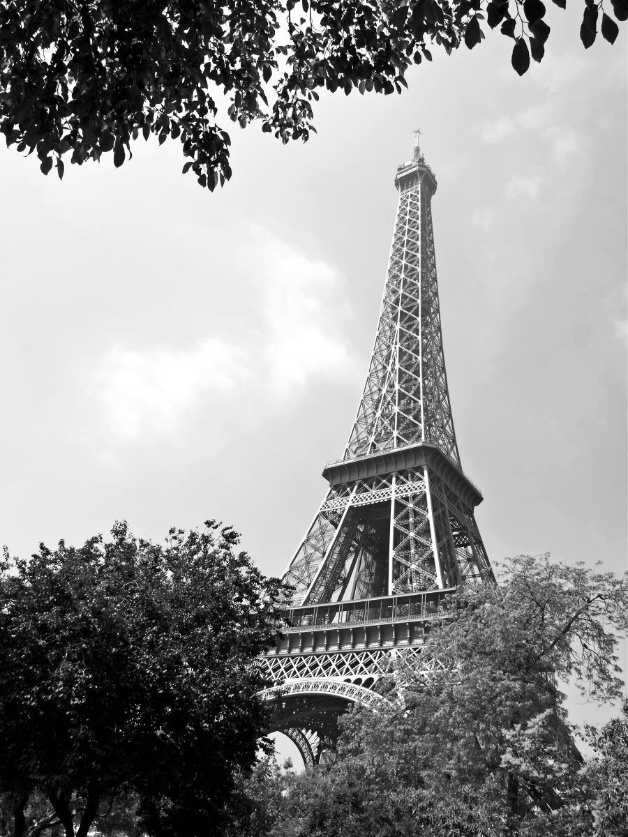 La Tour Eiffel, Paris by Alex Cassels