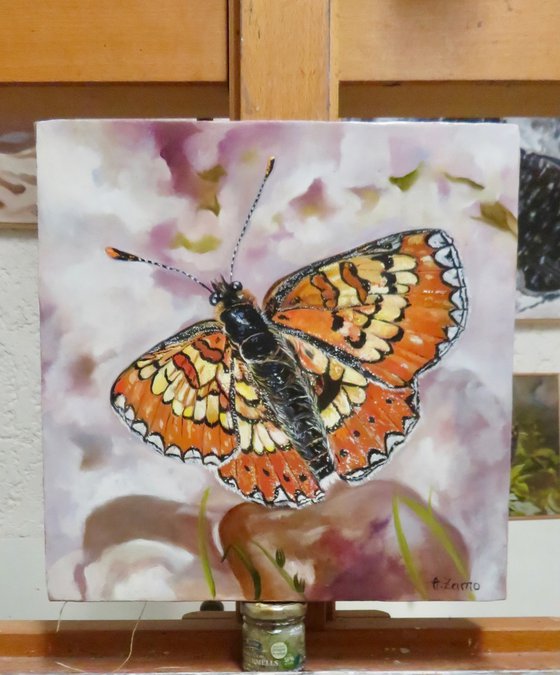 The Famous Spanish fritillary