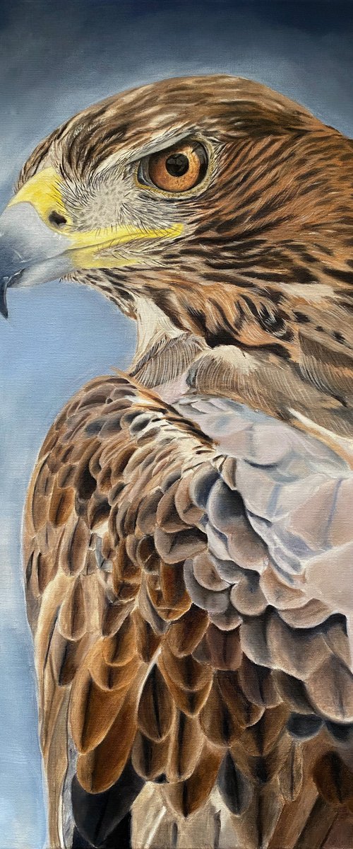Eagle by Martyna Maik