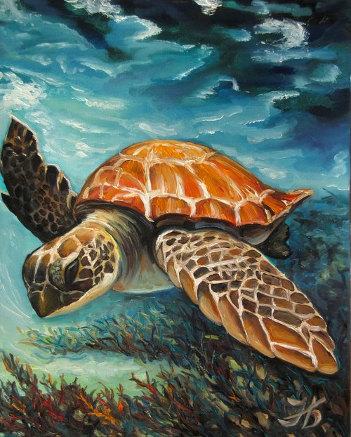 Caribbean Turtle II by Nadia Bykova