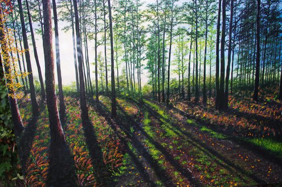Shadows Before Dusk