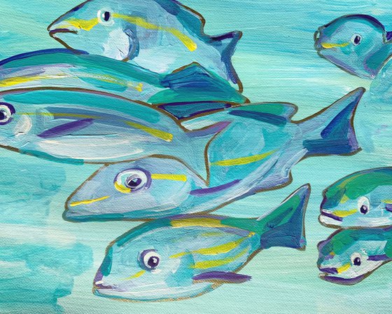 Fish in blue