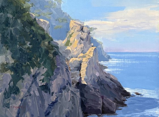 North Shore Cliffs