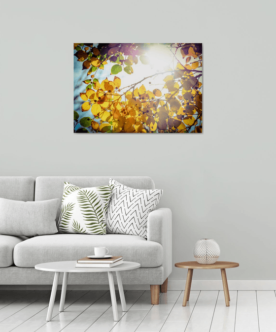 Winter is finally here | Limited Edition Fine Art Print 1 of 10 | 90 x 60 cm