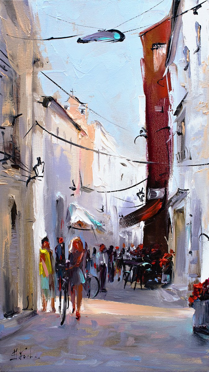 Dalmatia street on a sunny summer day by Bozhena Fuchs