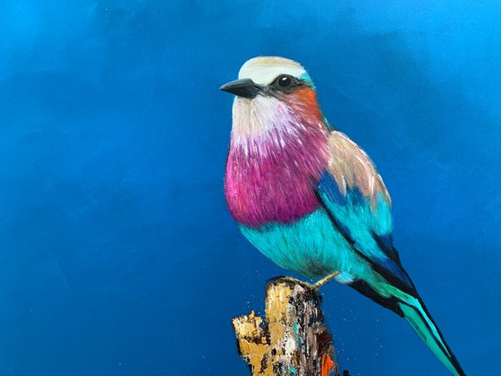 Lilac Breasted Roller