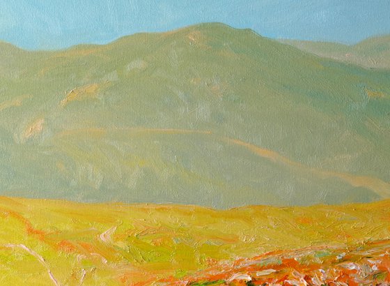 California Poppy