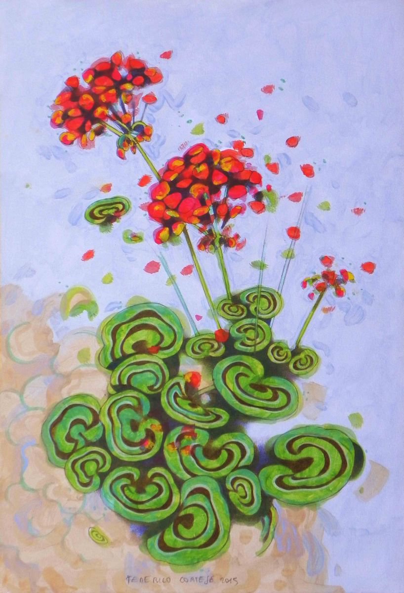geraniums by Federico Cortese
