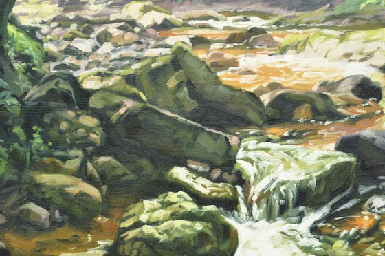 Morning Light On The Sumène