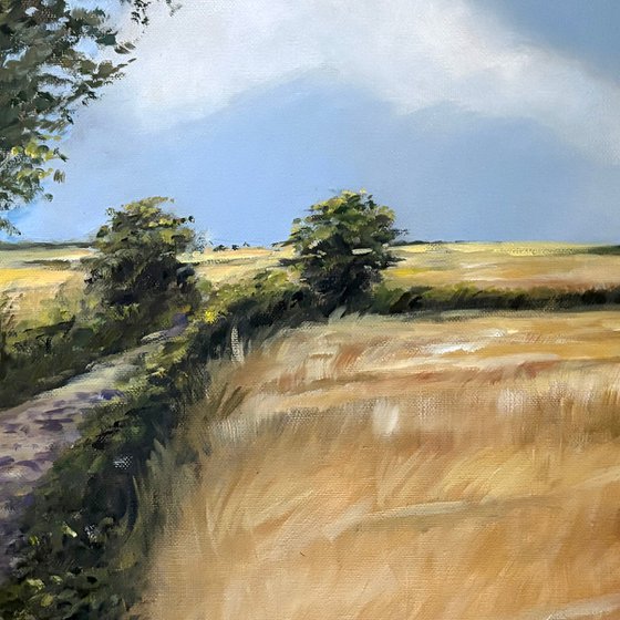 Hampshire Countryside