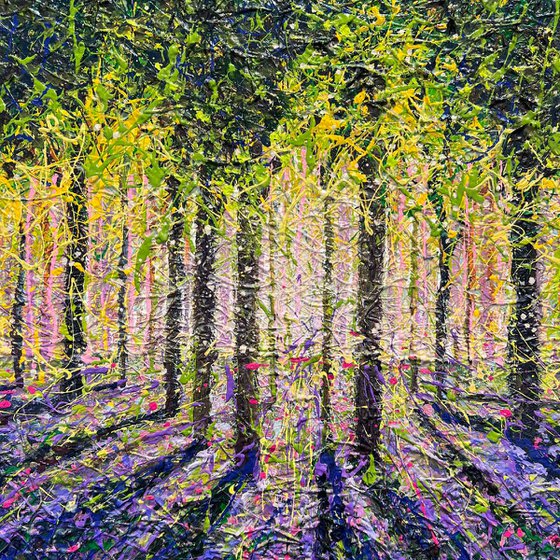 Where the Bluebells Dream - framed