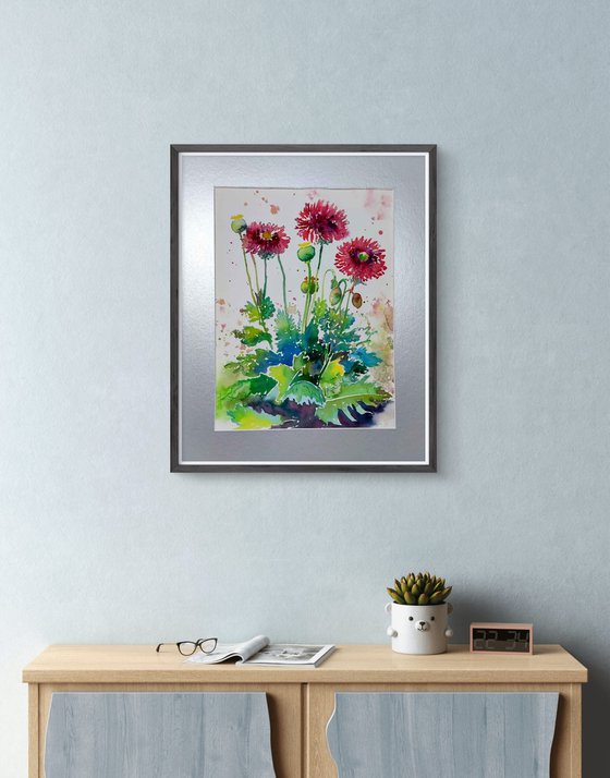 Wild Poppies Watercolor