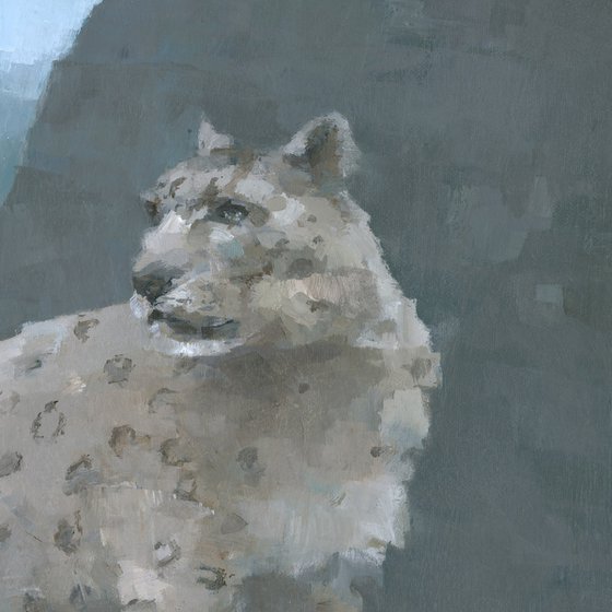 Realm of the Snow Leopards