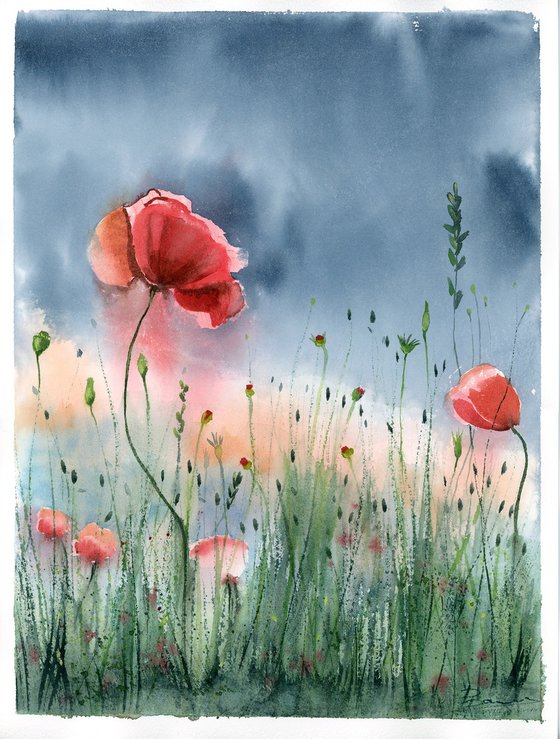 Poppies  -  Original Watercolor Painting by Olga Shefranov