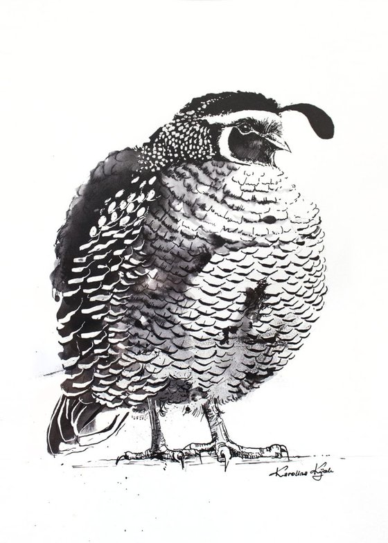 quail