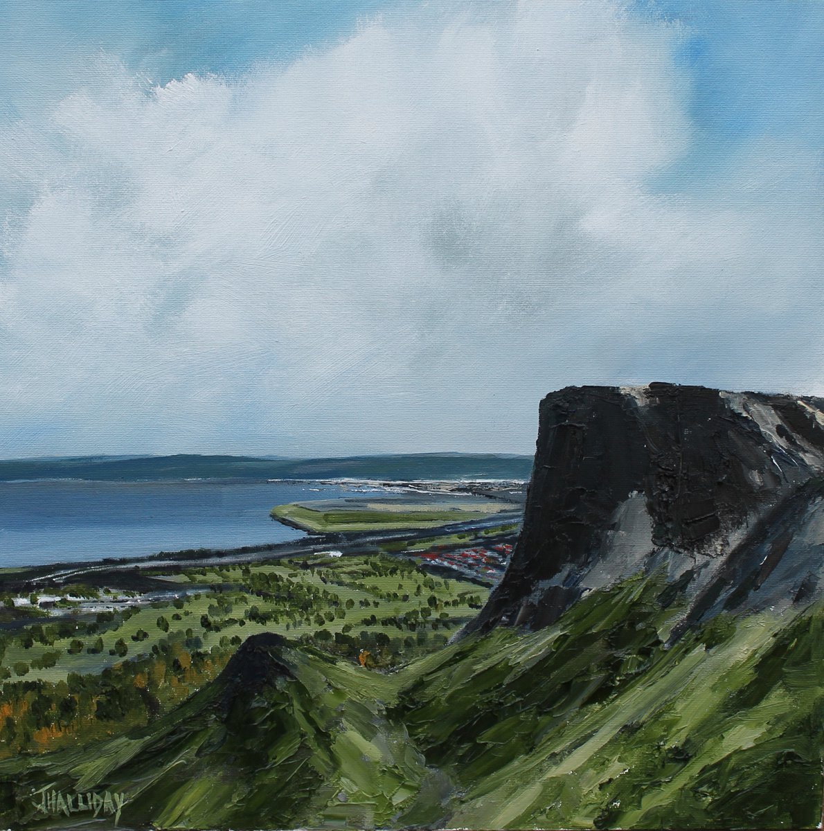 From Cavehill, Belfast, Irish Landscape by John Halliday