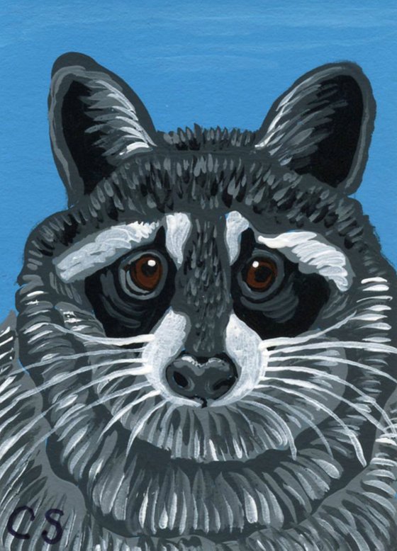 ACEO ATC Original Miniature Painting Raccoon Wildlife Art-Carla Smale