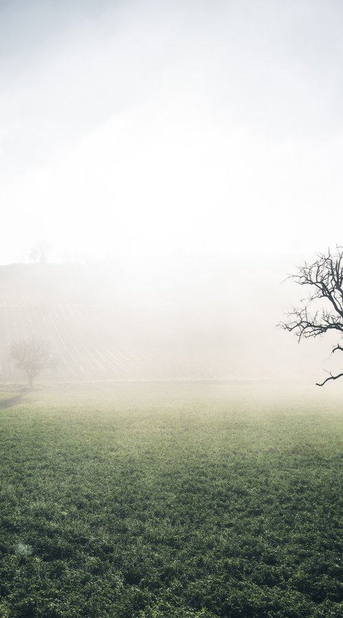 THE HILLS BEHIND THE FOG by Fabio Accorrà