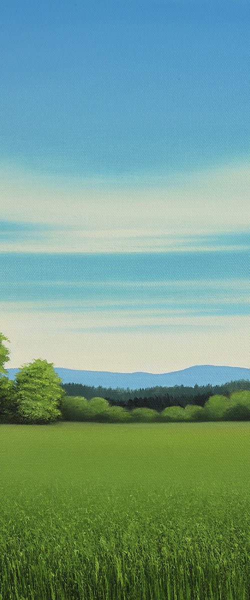 Grassy Meadow - Blue Sky by Suzanne Vaughan