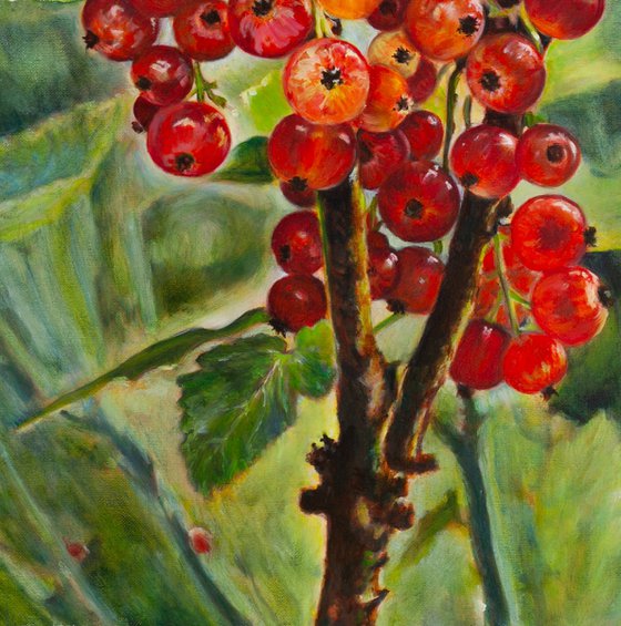 Redcurrants