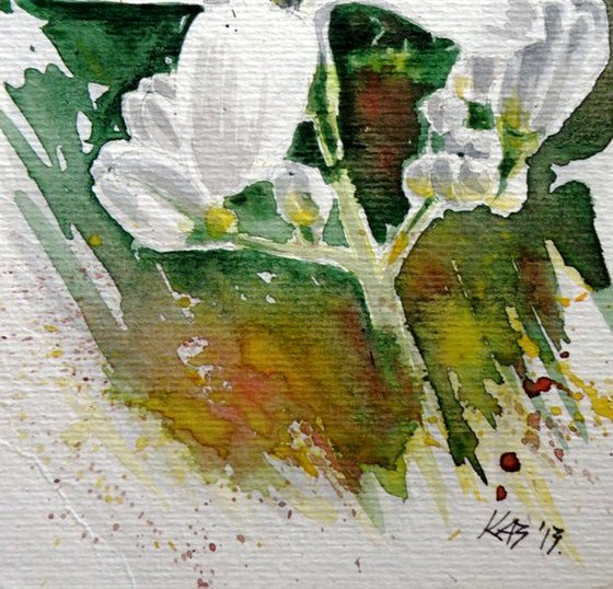 Wild flower