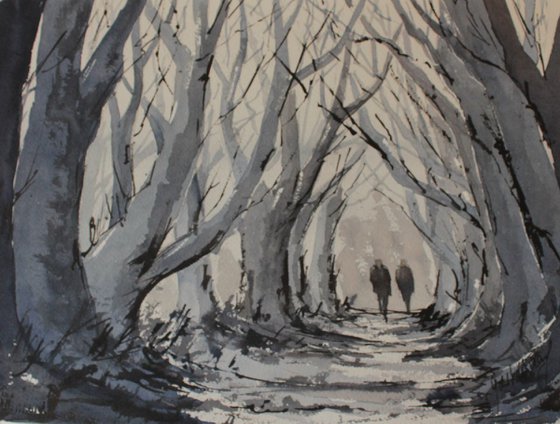 Through the dark hedges